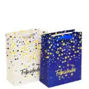 Bolsa de Regalo Chica Felicidades x1