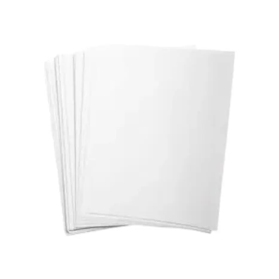 Hojas de Dibujo Garbanzo Blanco x25